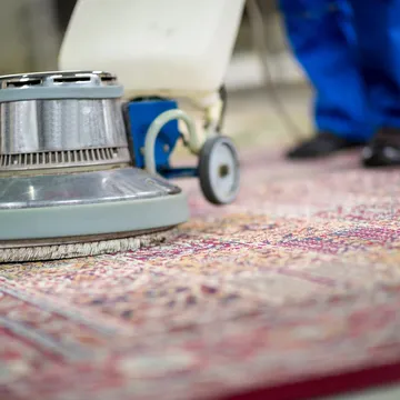 Carpet Cleaning