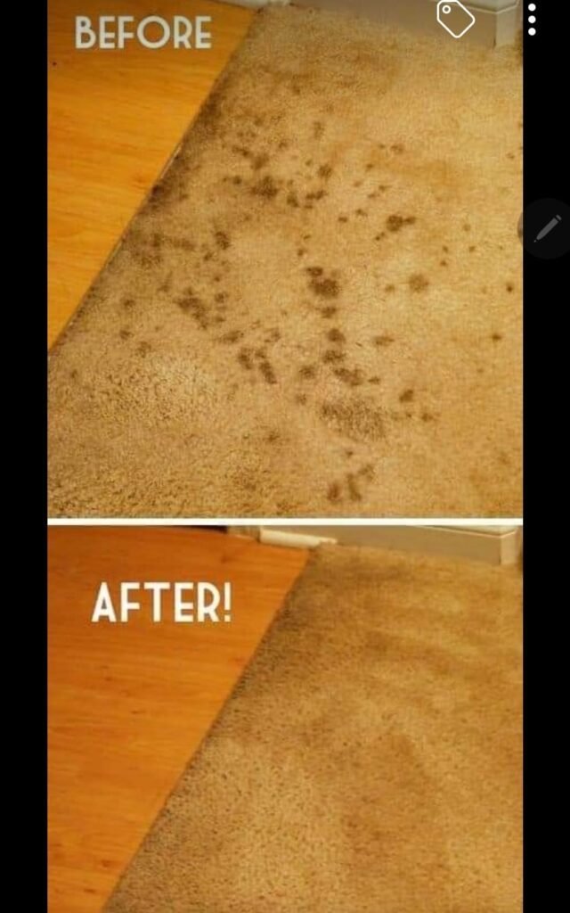 Carpet stain removal Springdale AR - after professional cleaning by Har-Ber Carpet Cleaning