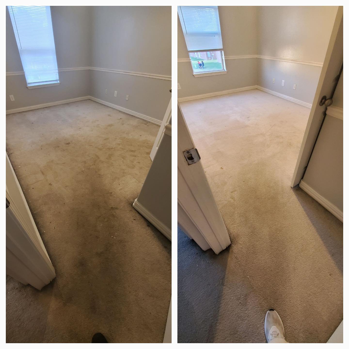 carpet cleaning fayetteville