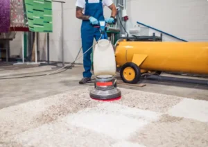 How Professional Carpet Cleaning in Springdale AR Can Extend the Life of Your Carpet
