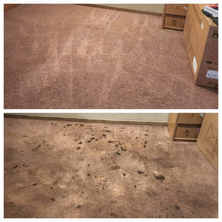 Move-In and Move-Out Carpet Cleaning Checklist for Fayetteville Homes