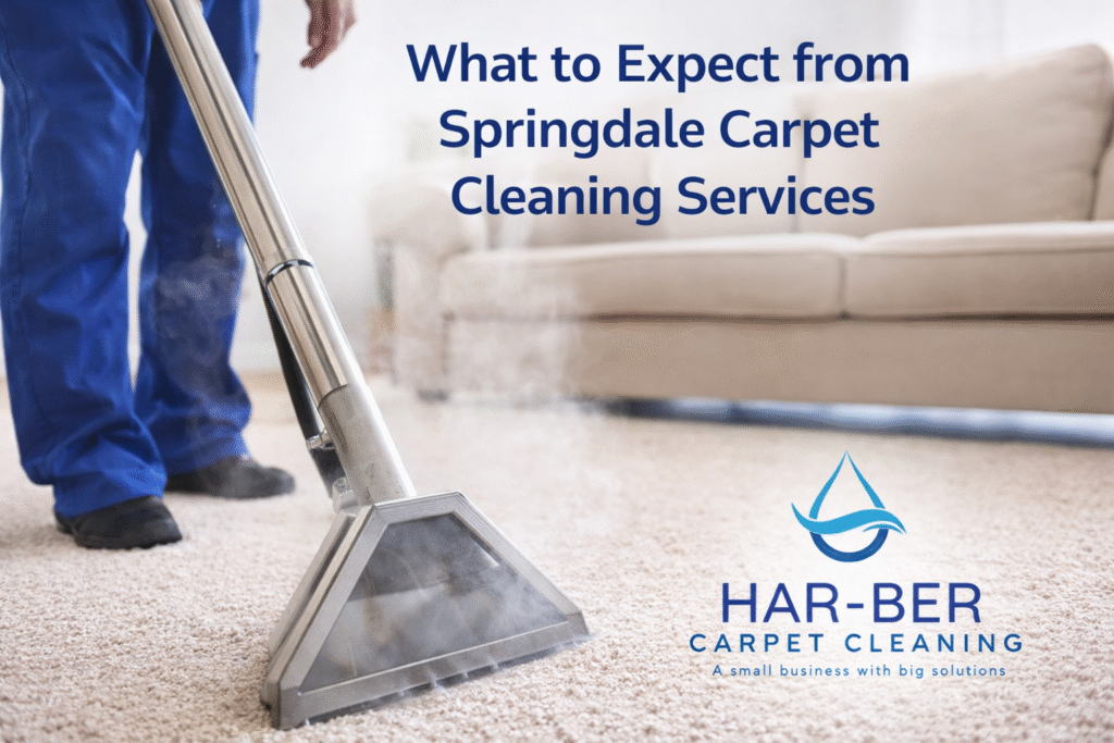 what to expect from Springdale carpet cleaning services