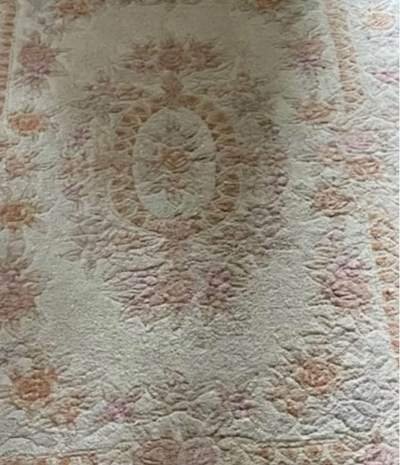 Before: Area rug cleaning