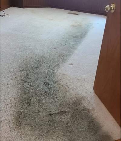 Before: Deep carpet stain removal