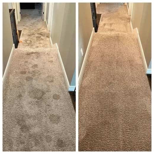 Carpet cleaning before and after in a Northwest Arkansas home