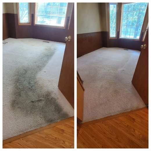Stain and odor removal before and after in a home office