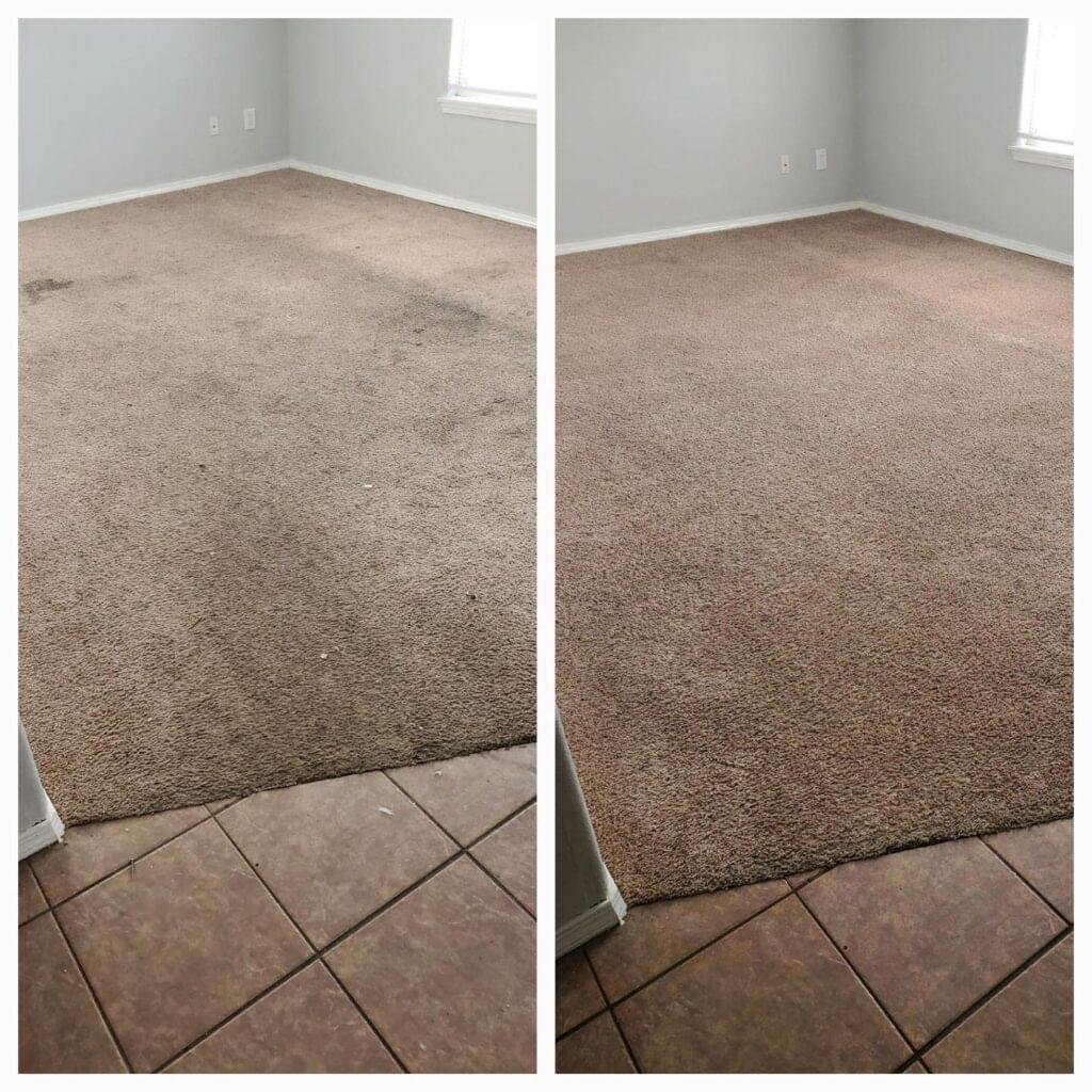 Carpet cleaning myths debunked in Springdale, AR